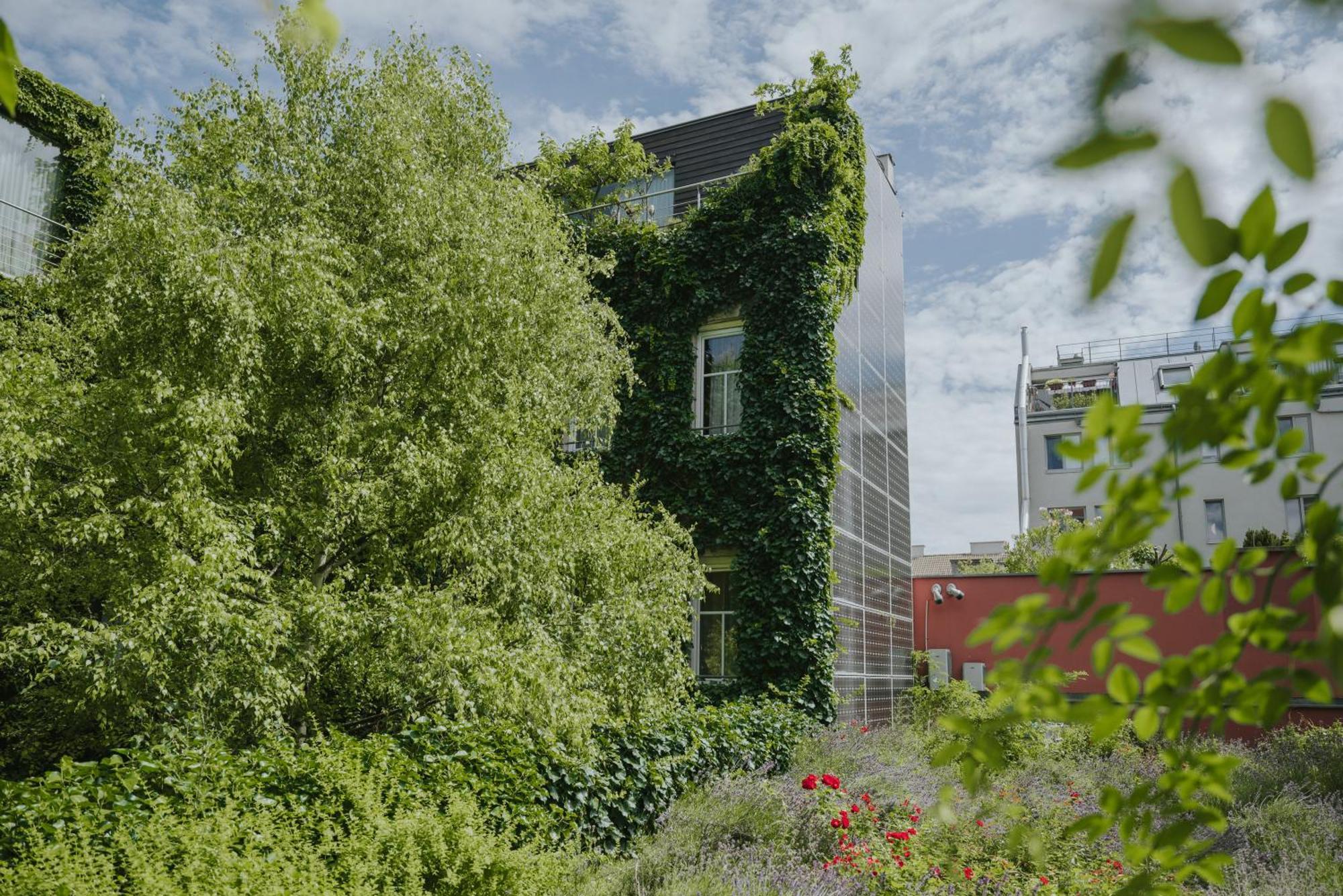 Boutiquehotel Stadthalle Виена Екстериор снимка